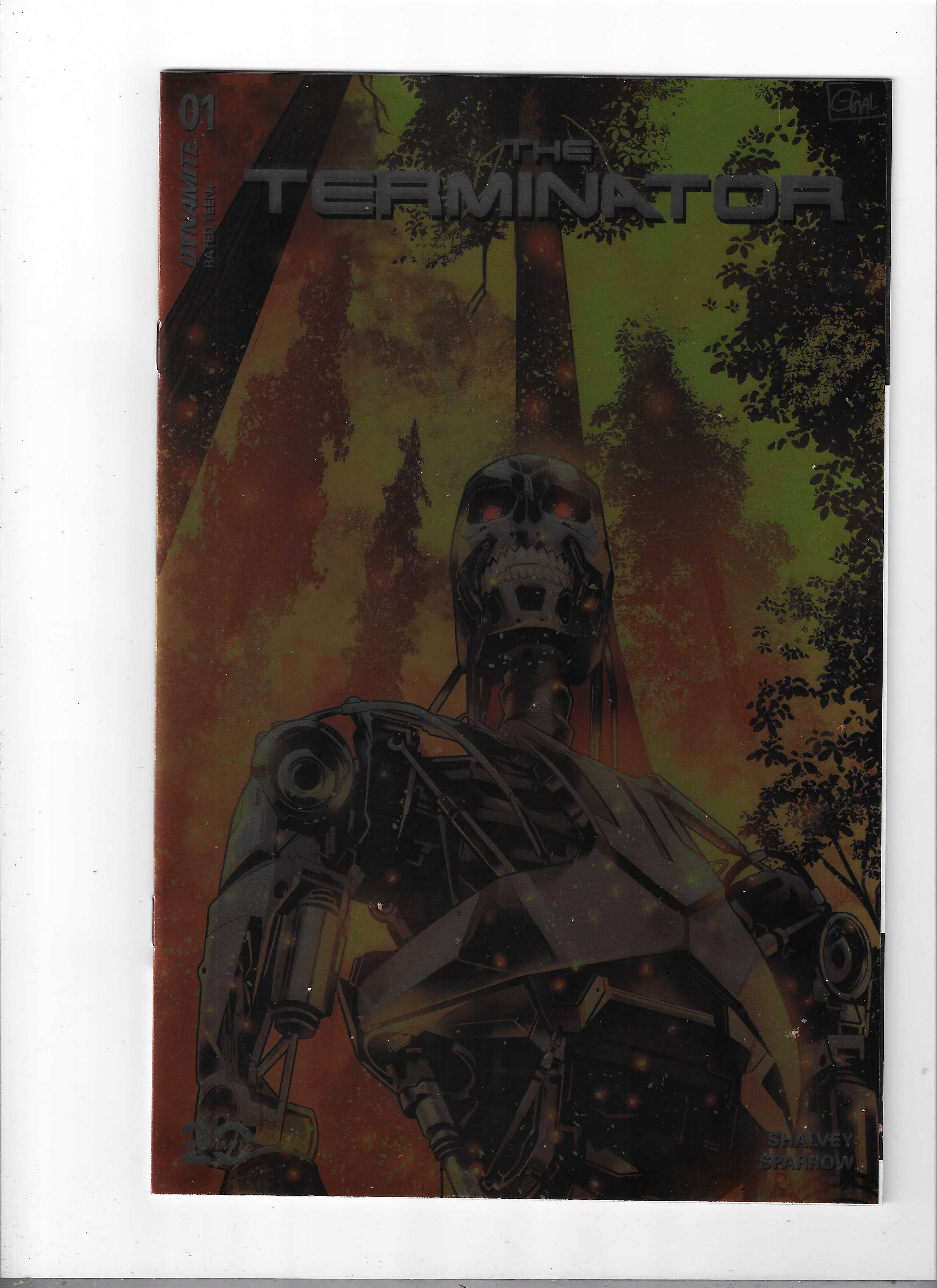 Terminator isssue 1