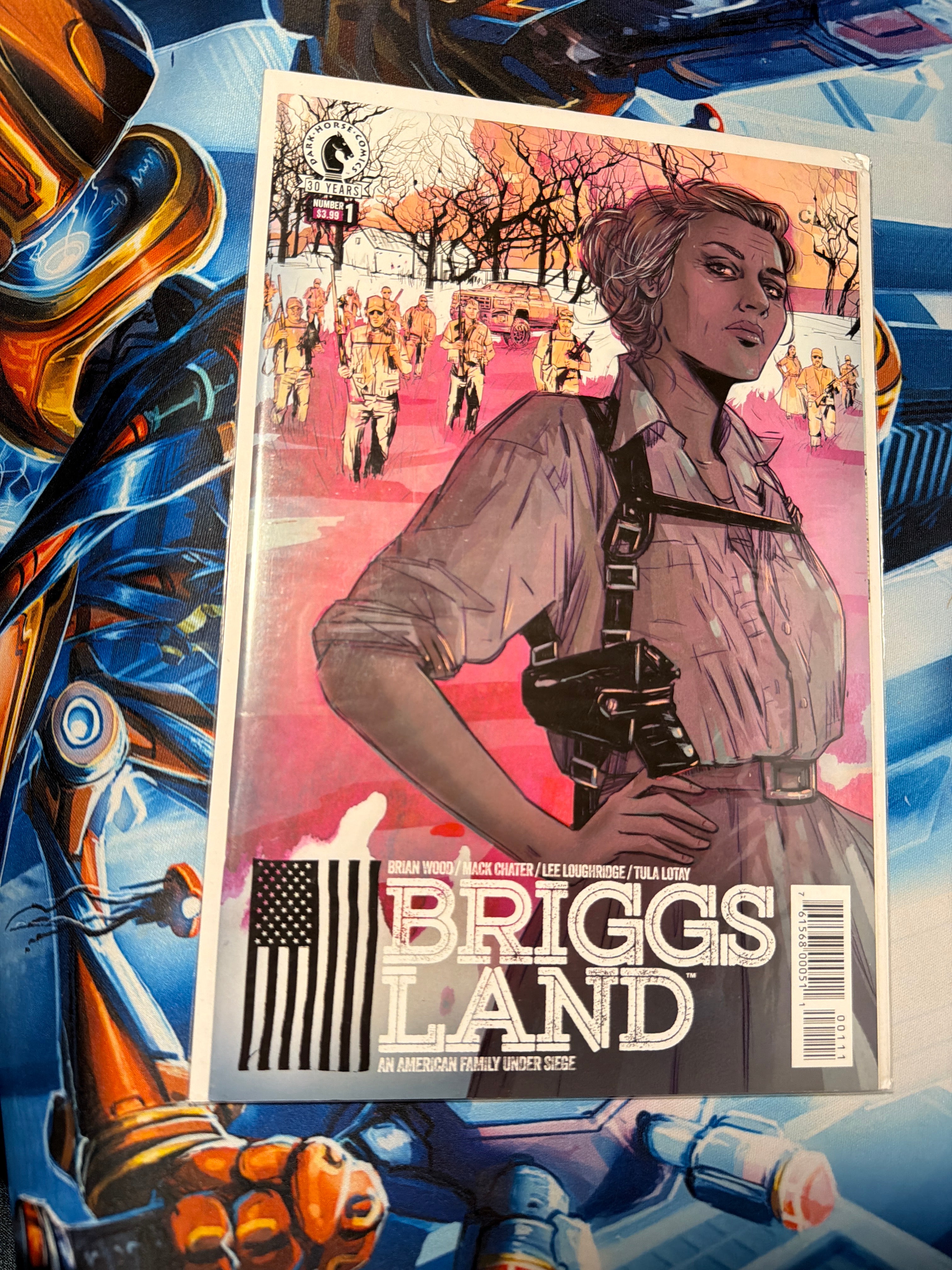 Briggs Land issue 1
